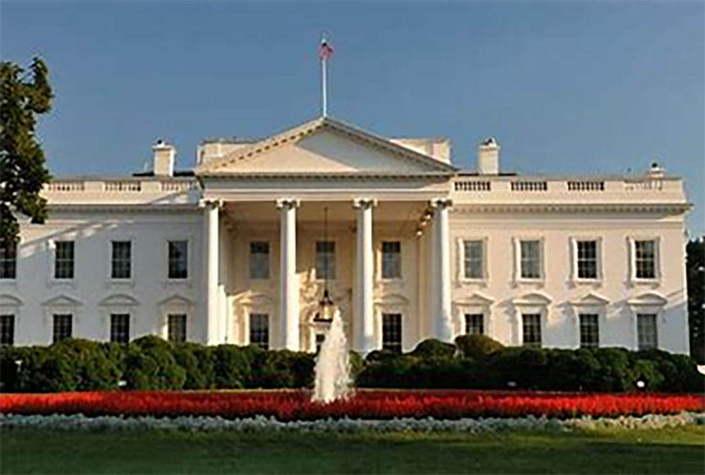 RED LATINA STL, RED LATINA PERIODICO, CAMINO, PARALISIS, CASA BLANCA